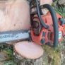 Can post husqvarna 236 Image 2