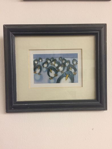 Penguin pictures