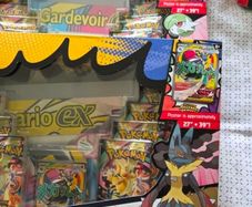 Ascended Heroes Poster collection - Pokemon