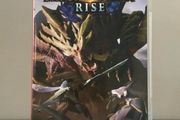 Monster Hunter Rise Nintendo Switch
