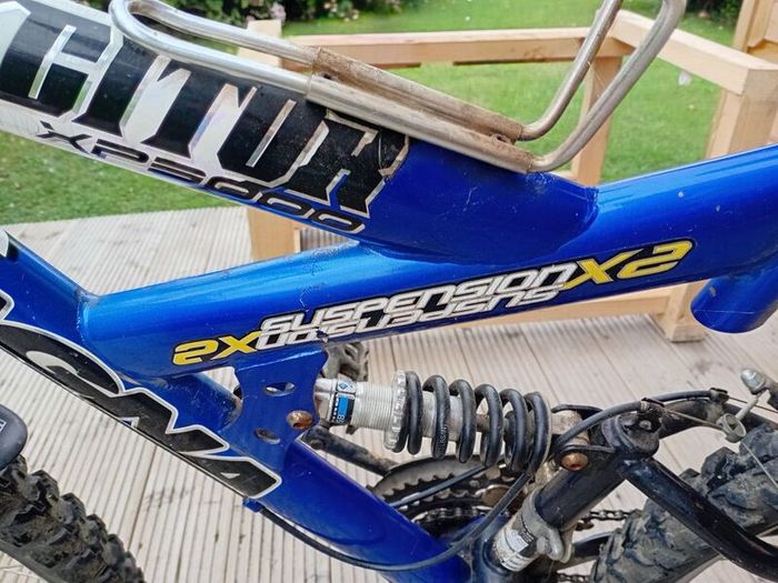 adults bike