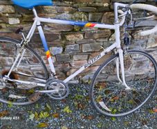 Raleigh flyer