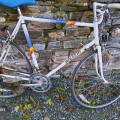 Raleigh flyer