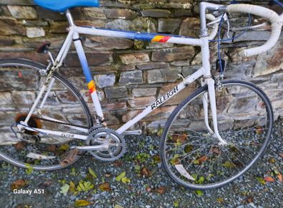 Raleigh flyer
