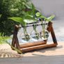 BRAND NEW Creative Glass Tabletop Plant Bonsai Hydroponic Plant Terrarium Transparent Vase Wooden Frame vase decoration Decor flower vase Image 4