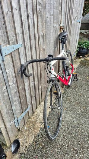 Giotto road bike