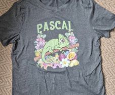 disney rapunzel tangled pascal grey tshirt