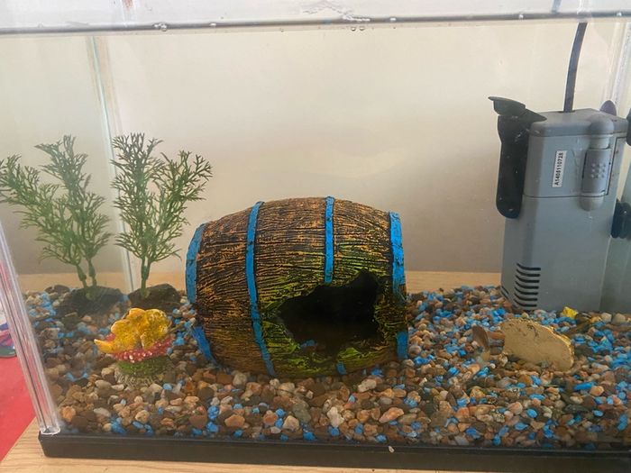 fish tank
