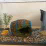 fish tank Image 2