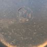 WW2 "The Blitz" Bakelite Bowl & Spoon 1940s Image 3