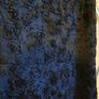 BNWT - AVOCA Anthology Eve Shift Dress UK 10 Image 7