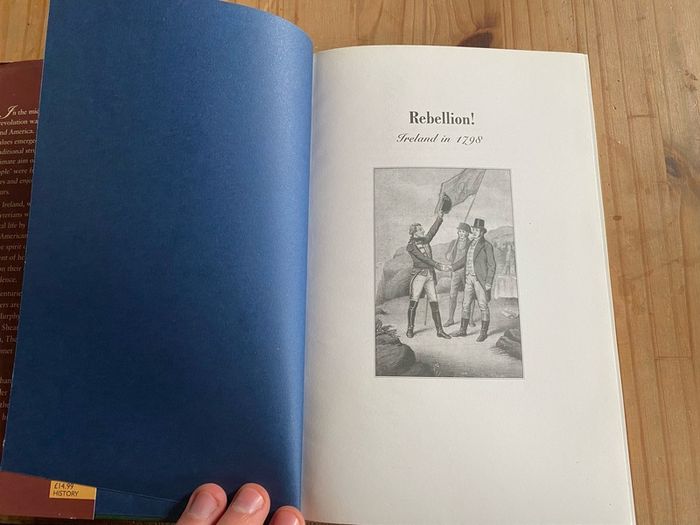 Rebellion! Ireland in 1798 Daniel J. Gahan Book