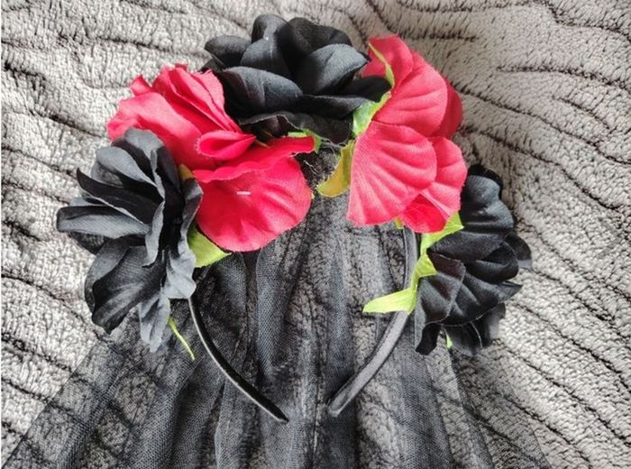 Spooky Veil
