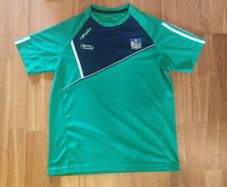 Limerick GAA Training T-shirt (S)