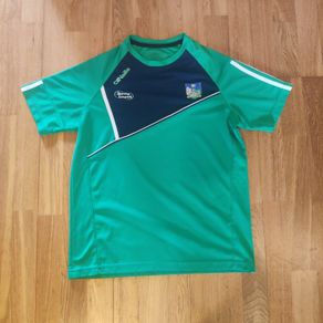 Limerick GAA Training T-shirt (S)