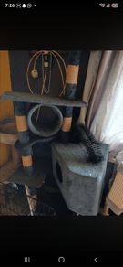 cat tree  free