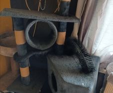 cat tree  free