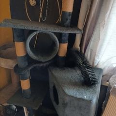 cat tree  free