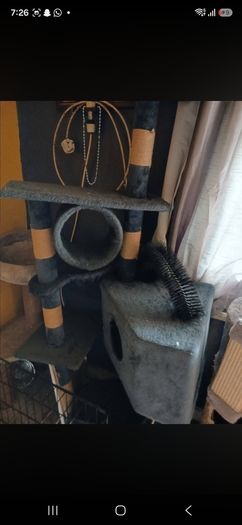 cat tree  free