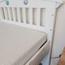 White Hardwood Bunk Beds / Single Beds Image 5