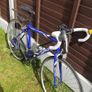 Adults bike Image 2