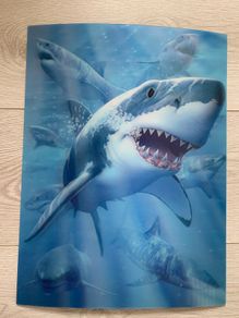 3D Sharks picture/ decal