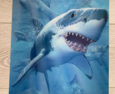 3D Sharks picture/ decal