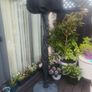 Patio Heater, Garden Heater Image 2
