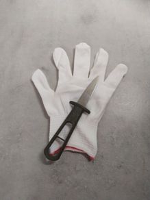 Oyster Opener/ Schucker