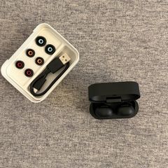 Sony WF-1000XM6 Flagship Wireless Noise Cancelling Earbuds