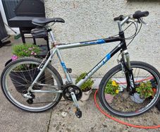 Mountain bike