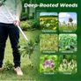 Weed Puller, Stand Up Weeder Hand Tool, Long Handle Garden Weeding Tool with 3 Claws, Hand Weed Hound Weed Puller for Dandelion, Standup Weed Root Pulling Tool and Picker, Grabber (1 Pack) Image 6