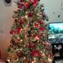 6ft christmas tree with decorations Image 2