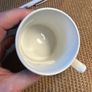 Irish Commemoration Mug 1900 Image 4