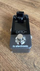 TC electronic Ditto +