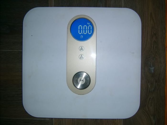 motorola cales