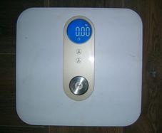 motorola cales