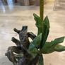 Terrarium/Vivarium Decoration Image 4