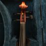 violin 4/4 Image 4