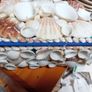 Natural Shell jewellery  box display case Image 2