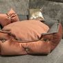 pet Image 8