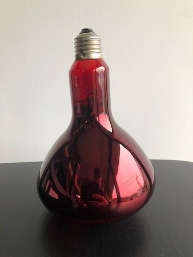 2 250w Siccatherm Light Bulbs