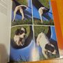 Just Dogs. A Literary And Photographic Tribut To The Great Hunting Breeds. First Edition Large Volume Hardback With Dustjacket In Good Condition.  See Photos For Same. Image 10
