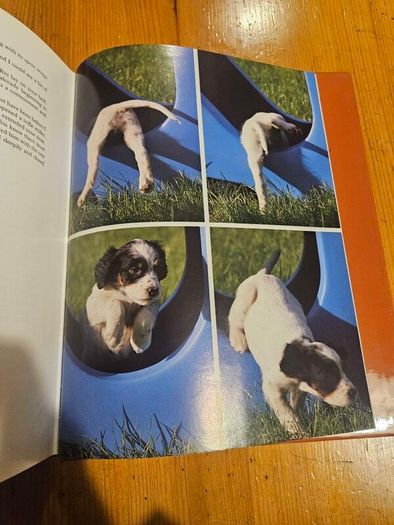 Just Dogs. A Literary And Photographic Tribut To The Great Hunting Breeds. First Edition Large Volume Hardback With Dustjacket In Good Condition.  See Photos For Same.