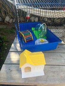 Hamster with extras