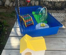 Hamster with extras