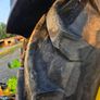 Tractor Image 10