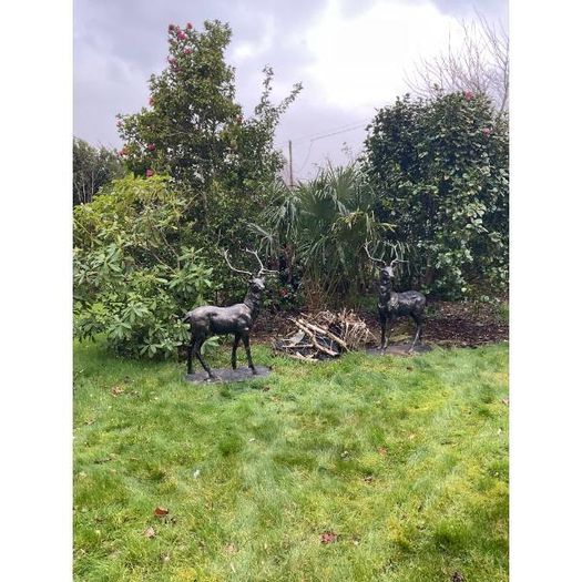 Pair of Standing Stags D7223