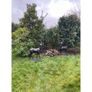Pair of Standing Stags D7223 Image 3