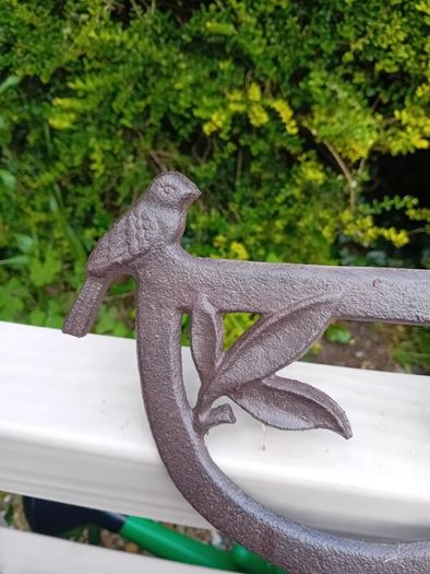 bird boot scraper